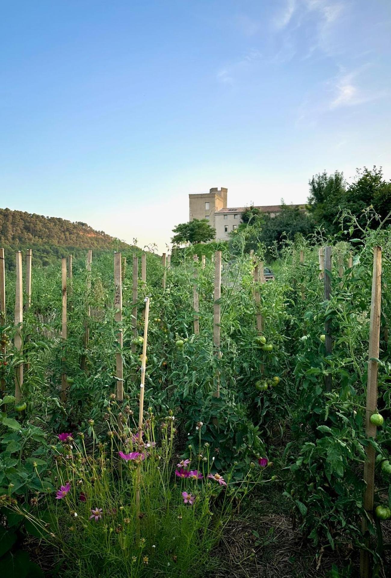 Domaine La Ferme Hi Bride Panzió Villelaure Kültér fotó